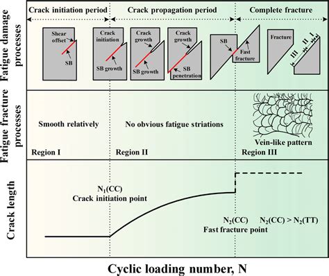 Schematic diagrams of fatigue-failure process, fatigue-fracture... | Download Scientific Diagram