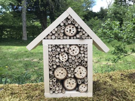 How to build a bee hotel | How to help wildlife | Scottish Wildlife Trust