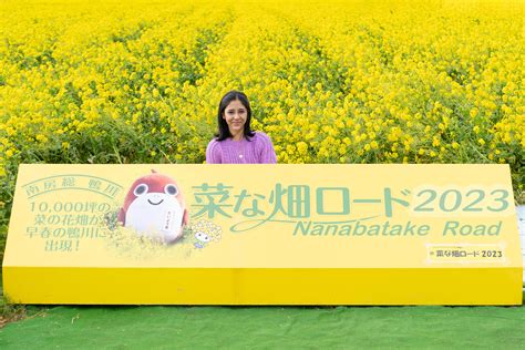 Nanabatake Road（菜な畑ロード） | Visit Chiba