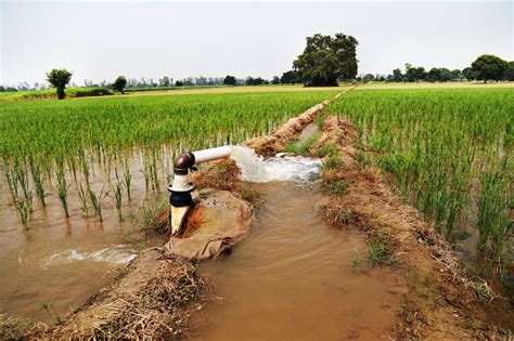 Irrigation Through Tube Well Stock Photo - Download Image Now - iStock