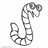 Free Printable Worm Coloring Page  Templates sketch template