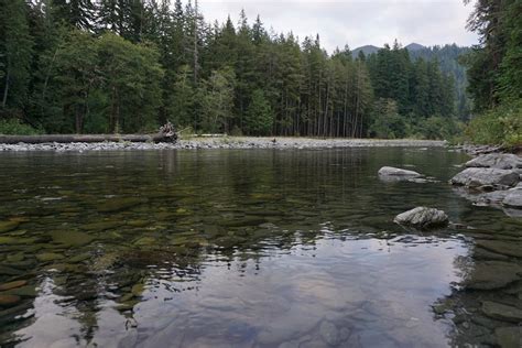 Sport fishing regulation changes in Olympic National Park will protect ...