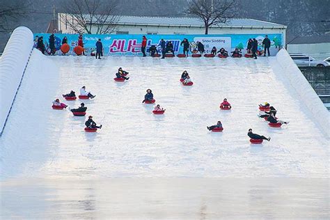 Best Winter Festivals of South Korea | KoreaTravelPost