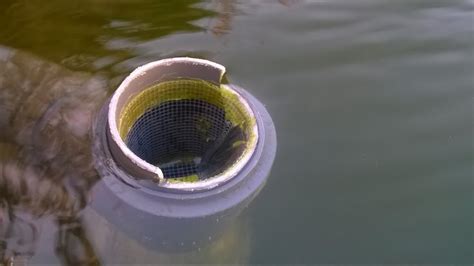 DIY mini pond skimmer - YouTube