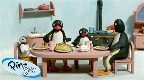 Pingu Loves His Family| Pingu - Official Channel | Cartoons For Kids 🐧 - YouTube