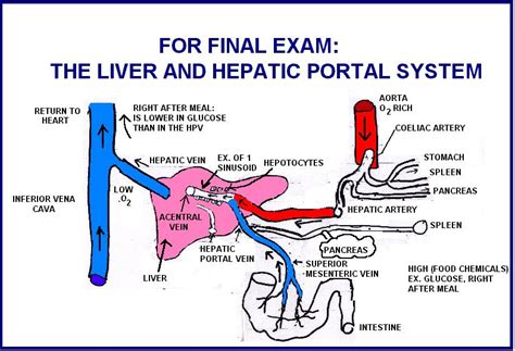 Portal System