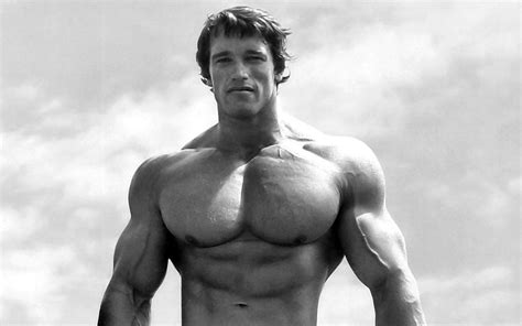 Arnold Schwarzenegger Bodybuilding Wallpapers Posters and Pictures HD ·① WallpaperTag