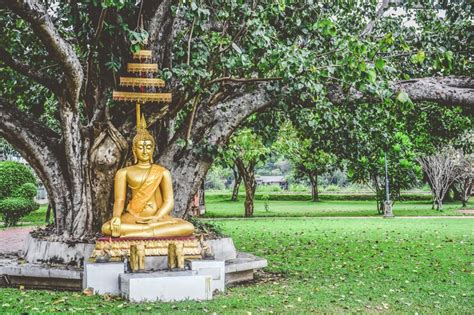 Premium Photo | Beautiful gold color buddha statue sitting under bodhi ...