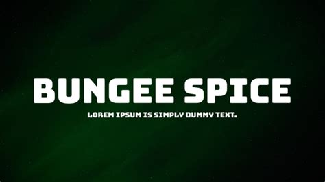 Bungee Spice Font : Download Free for Desktop & Webfont