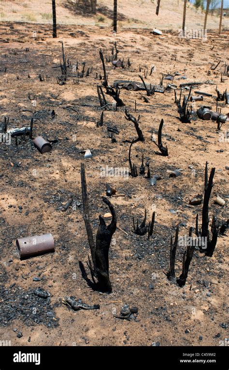 Brush fire damage Stock Photo - Alamy