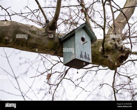 Cleaning nesting box hi-res stock photography and images - Alamy