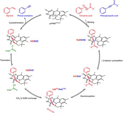 Proposed mechanism of catalysis by AnFdc The decarboxylation of ...