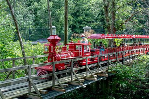 Exploring the Incredible Erie Zoo - Uncovering PA