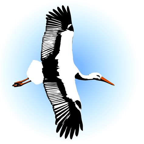 Stork Clipart Transparent Free - ClipartWorld