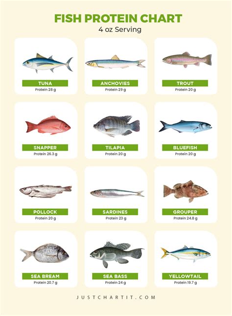 Fish Protein Chart : Low and Hight Protein Fish List