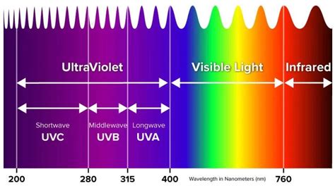 Why is Ultraviolet light therapy so significant to our skin health ...