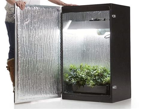 Grow Cabinet And Box Ideas How To Develop Plants Indoors