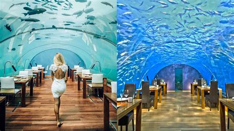 This is what its like to dine underwater in the Maldives - Tripoto