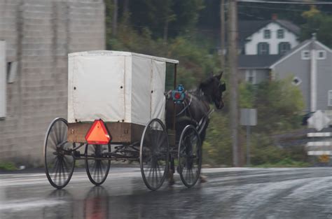 Five Amish Buggy Styles - Amish America