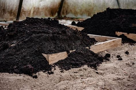 Peat Soil is Poured into the Greenhouse. Stock Image - Image of closeup ...