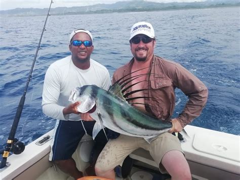 Roosterfish - Papagayo Fishing