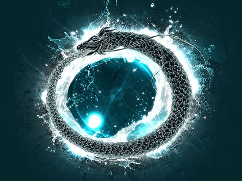 Water Dragon Ouroboros by Jarrod Vandenberg on Dribbble