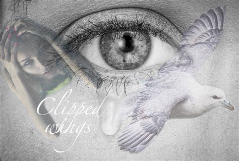 Clipped wings on Behance