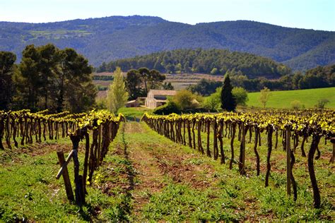 The Penedès as location for your audiovisual production or photographic ...