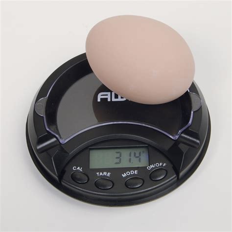 Digital Egg Scale - Premier1Supplies