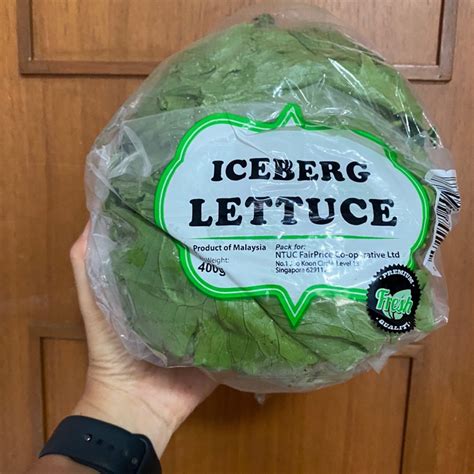 Iceberg Lettuce Reviews | abillion