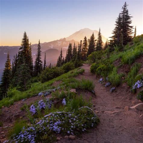 The Best Day Hikes on the Pacific Crest Trail | Mountain vibes, Pacific crest trail, Hiking ...