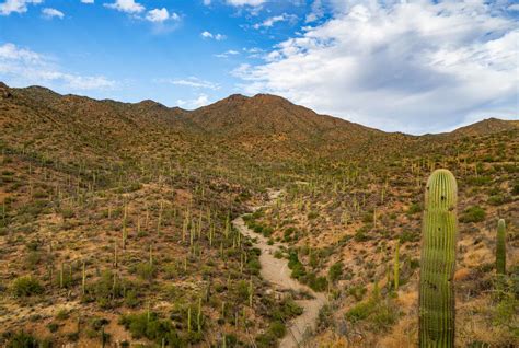 10 INCREDIBLE Saguaro National Park Hikes (Photos+Video)