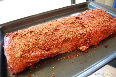 Dry Rub Oven Baked Pork Ribs - Soupbelly