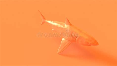 Orange Great White Shark stock illustration. Illustration of jaws ...