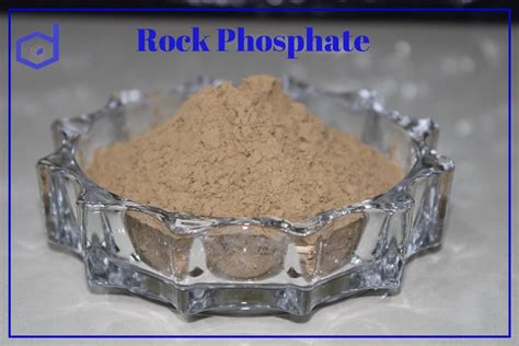 99% Rock Phosphate Powder, Packaging Type: PP Bag, 1306-05-4 at Rs 3000/metric ton in Udaipur