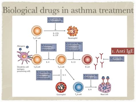 Biologic Therapy for Asthma | PPT