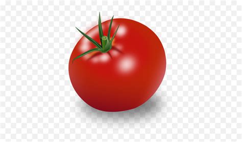 Tomato Clipart Emoji,Tomato Emoji - free transparent emoji - emojipng.com