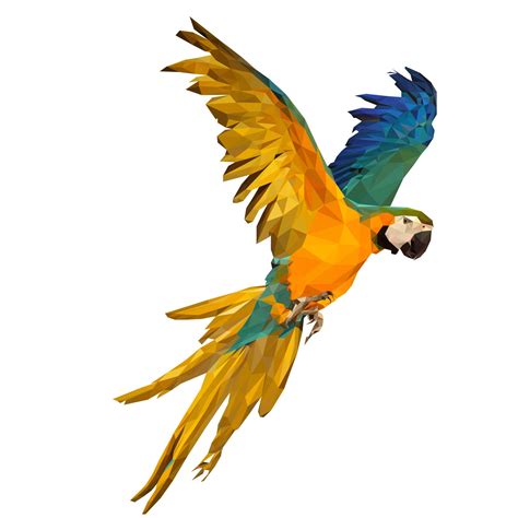 colorful parrot vector illustration low poly for your design 11593975 Vector Art at Vecteezy