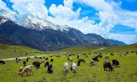 Chitral Tour Package at best rates | Pakistan Travel Guide