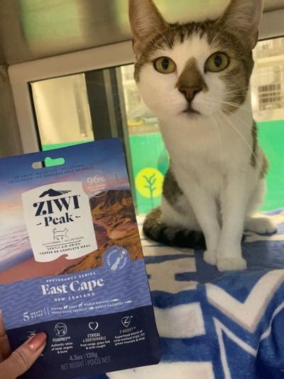 Ziwi USA Continues Pet Food Giving Campaign | News | petproductnews.com