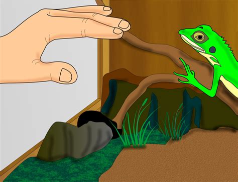 How to Build a Reptile Cage: 12 Steps (with Pictures) - wikiHow