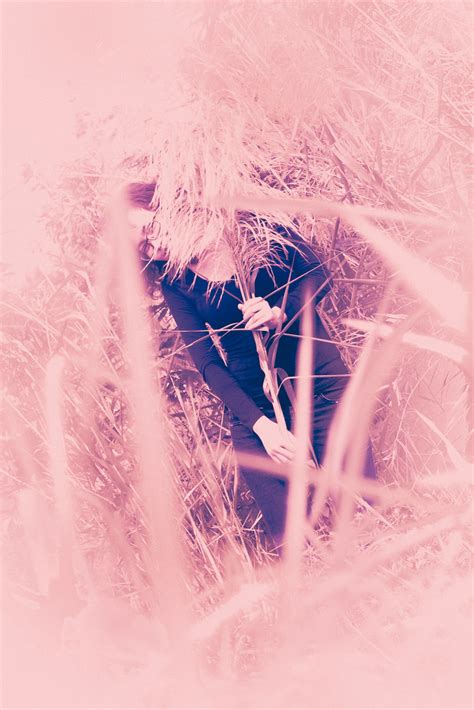 Pink Purple | Hung Thinh Tran | Flickr
