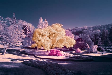 40 Most Beautiful InfraRed Photography Examples for your inspiration