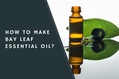 How To Make Bay Leaf Essential Oil? - CondimentBucket