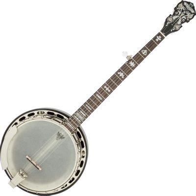 Fender Deluxe Concert Tone 58 5-String Banjo | Musikhaus