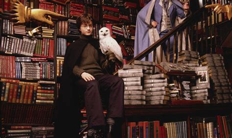 Harry Potter's Hedwig is under threat due to declines of the snowy owl | Nature | News | Express ...