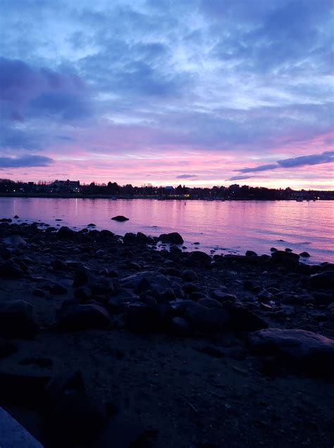 English Bay sunset – BLUEBERRY FIG