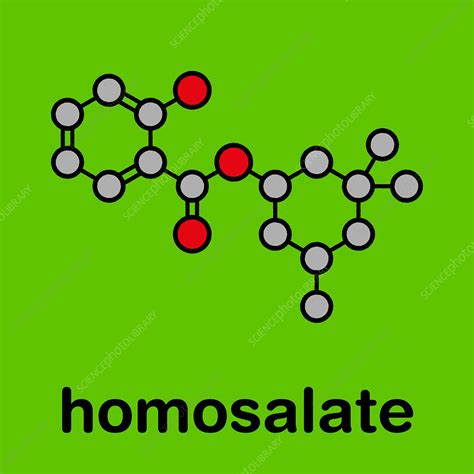 Homosalate sunscreen molecule, illustration - Stock Image - F027/8734 - Science Photo Library