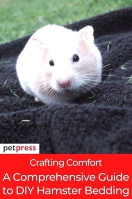 Crafting Comfort: A Comprehensive Guide to DIY Hamster Bedding