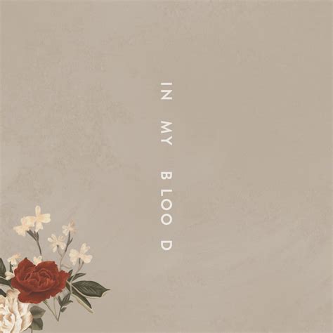 6 Best Songs On Shawn Mendes' New Album